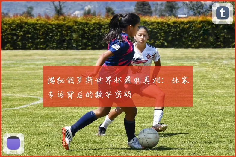 揭秘俄罗斯世界杯盈利真相：独家专访背后的数字密码