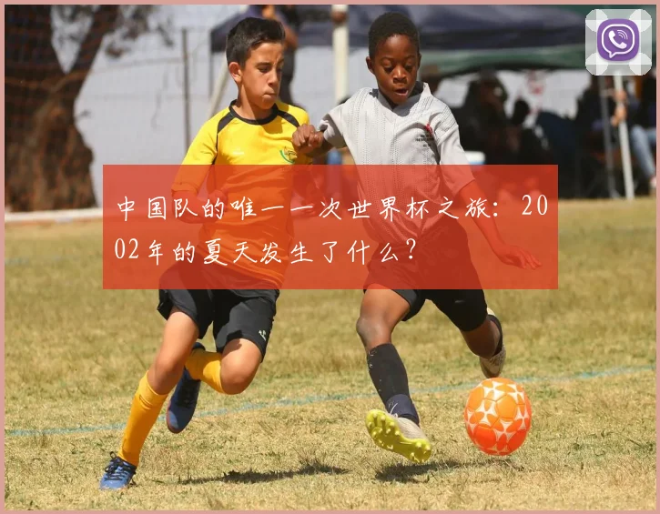 中国队的唯一一次世界杯之旅：2002年的夏天发生了什么？