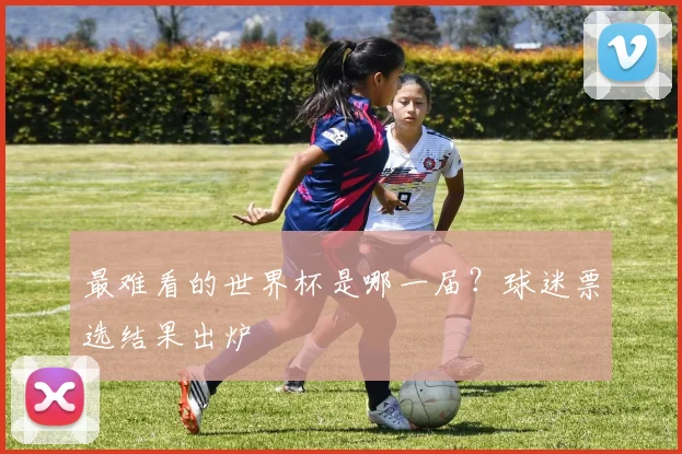 最难看的世界杯是哪一届？球迷票选结果出炉