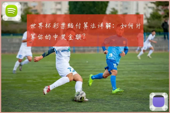 世界杯彩票赔付算法详解：如何计算你的中奖金额？
