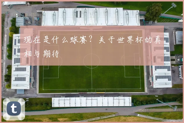 现在是什么球赛？关于世界杯的真相与期待