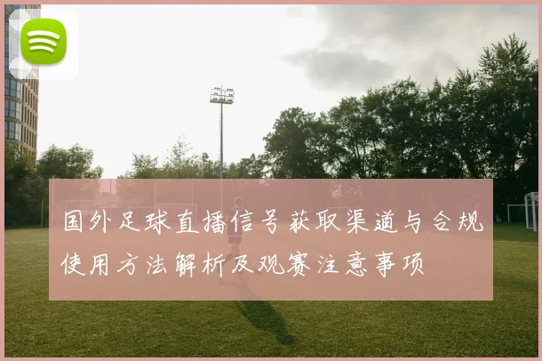 国外足球直播信号获取渠道与合规使用方法解析及观赛注意事项