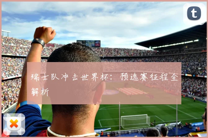 瑞士队冲击世界杯：预选赛征程全解析