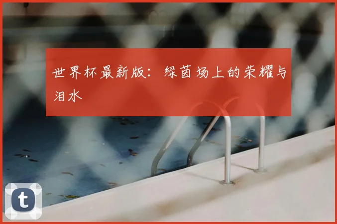 世界杯最新版：绿茵场上的荣耀与泪水
