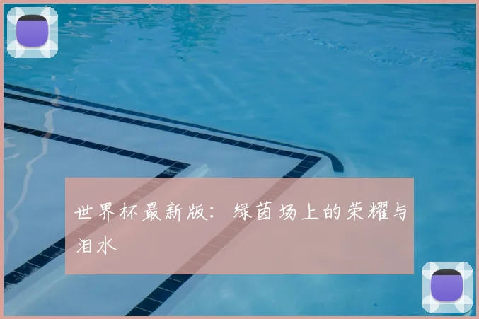 世界杯最新版：绿茵场上的荣耀与泪水