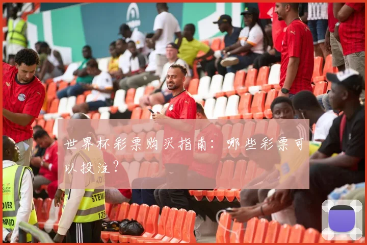 世界杯彩票购买指南:哪些彩票可以投注?
