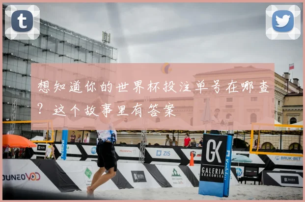 想知道你的世界杯投注单号在哪查？这个故事里有答案
