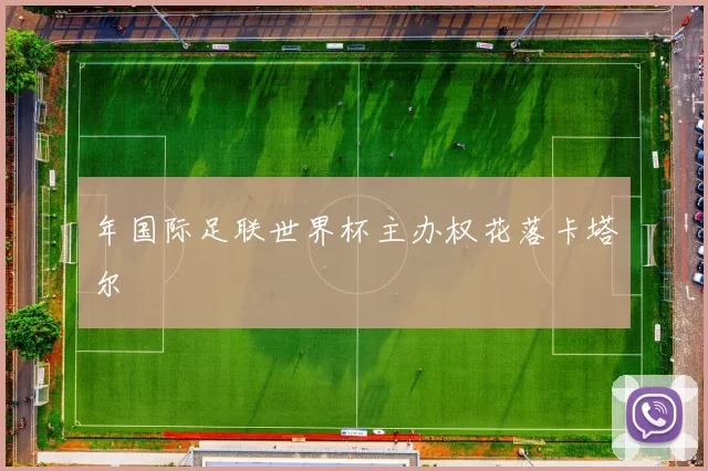 年国际足联世界杯主办权花落卡塔尔
