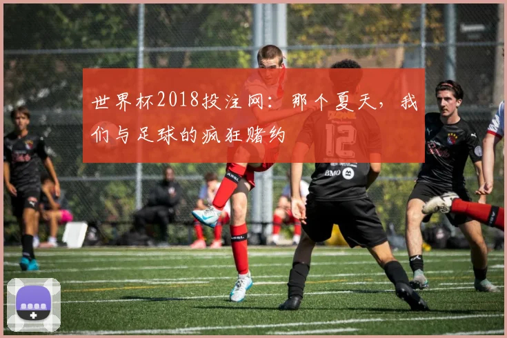 世界杯2018投注网:那个夏天,我们与足球的疯狂赌约