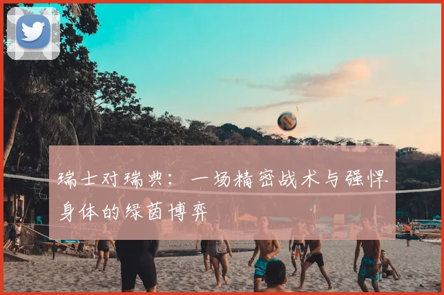 瑞士对瑞典：一场精密战术与强悍身体的绿茵博弈