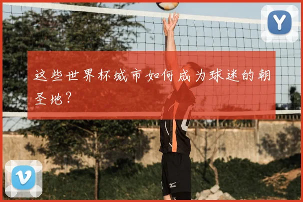 这些世界杯城市如何成为球迷的朝圣地?