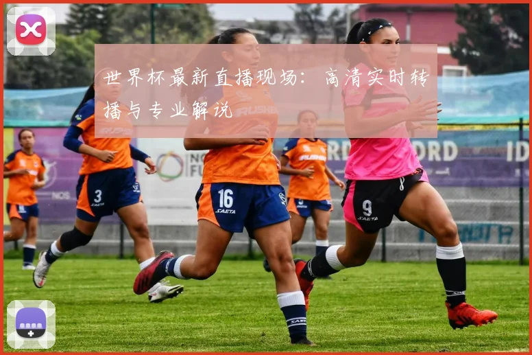 世界杯最新直播现场：高清实时转播与专业解说