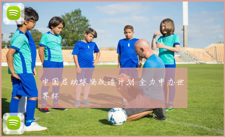 中国启动球场改造计划 全力申办世界杯