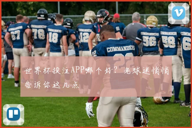 世界杯投注APP哪个好?老球迷悄悄告诉你这几点