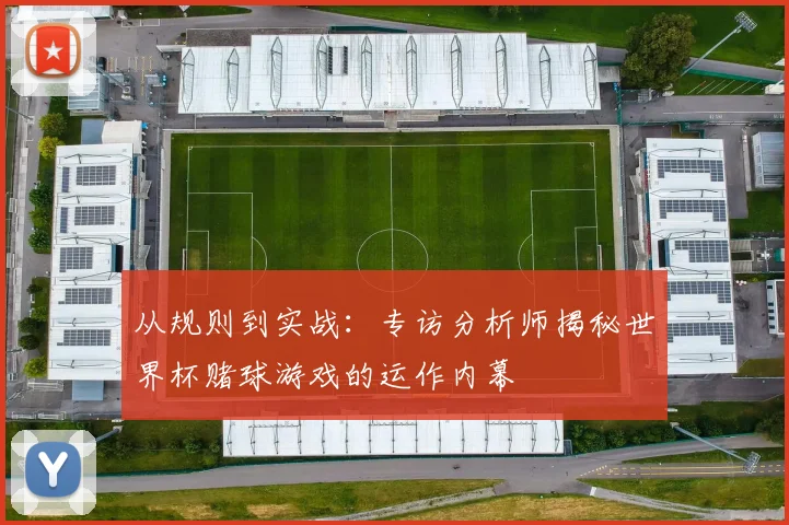 从规则到实战：专访分析师揭秘世界杯赌球游戏的运作内幕