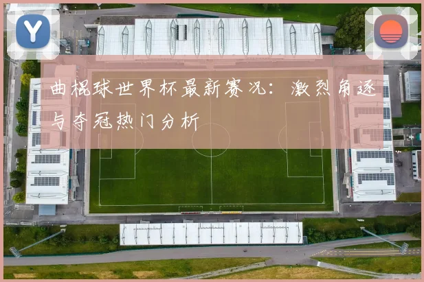 曲棍球世界杯最新赛况：激烈角逐与夺冠热门分析