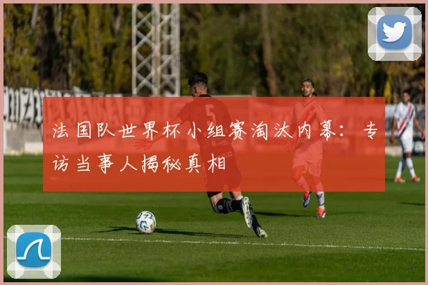 法国队世界杯小组赛淘汰内幕:专访当事人揭秘真相