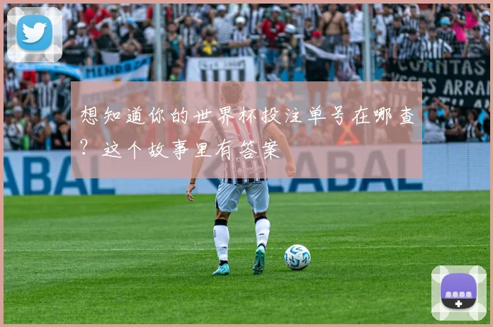 想知道你的世界杯投注单号在哪查？这个故事里有答案