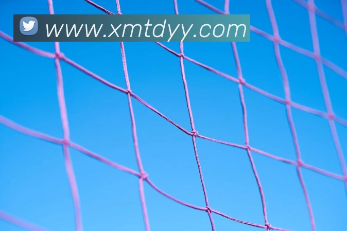 开云账号中心登录入口APP 高清赛事图